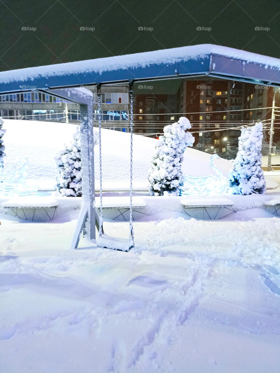 Spruce in a snow coat