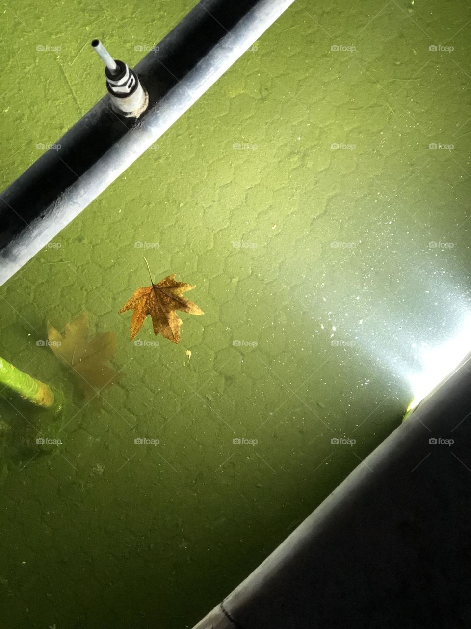 A lonely leaf floating on a pool and one drowned at the bottom
Does the floating one have the same fate? 
If only a lively child could pick it up!