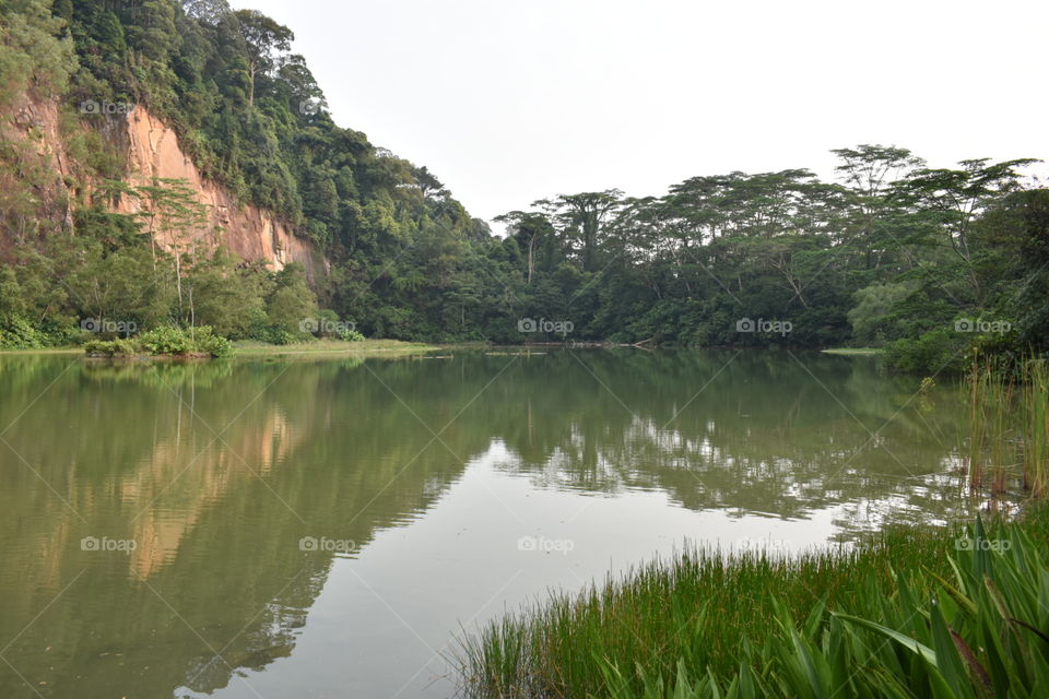 nice reflection of mountain and forest on the water
