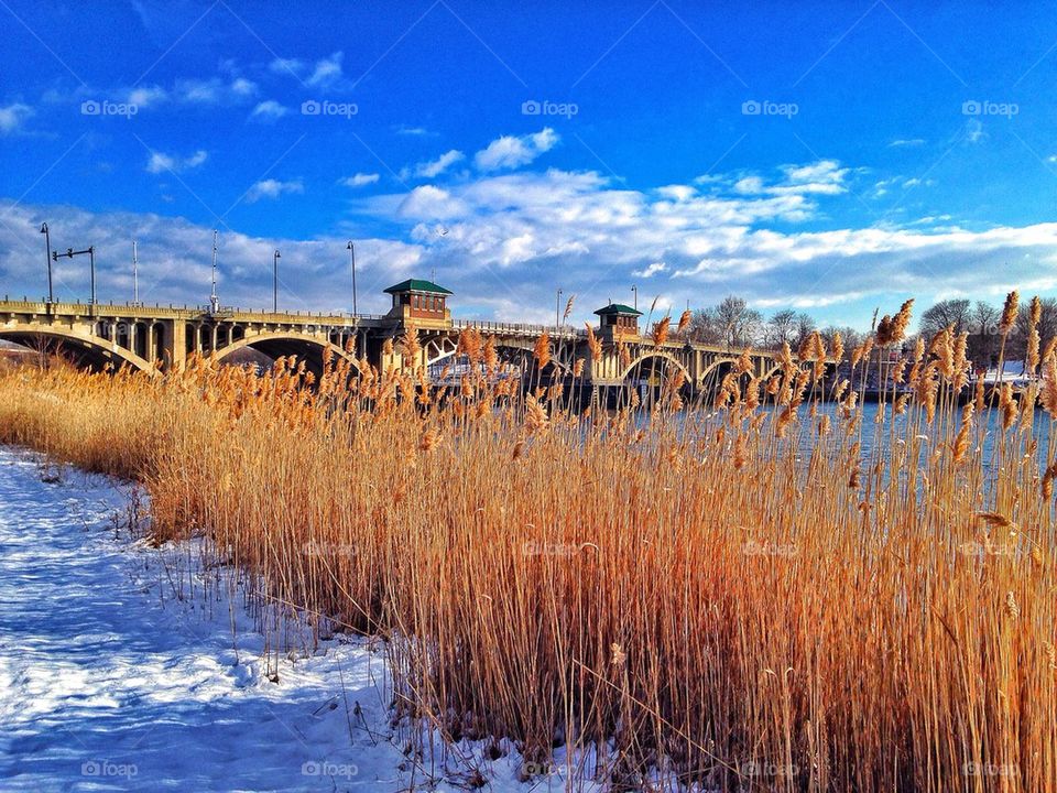 Winter harbour...