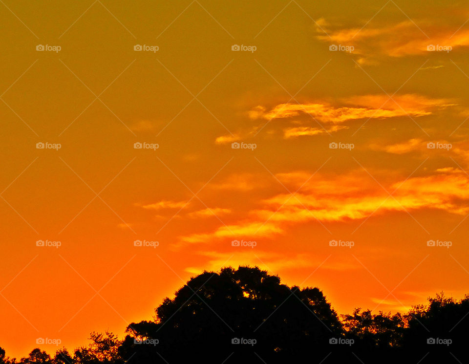 Sunrise over the golf course. This superior sunrise photo was taken over the golf course!