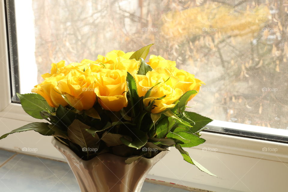 Yellow roses in a vase 