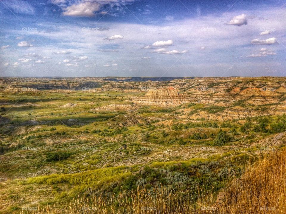 Theodore Roosevelt National Park