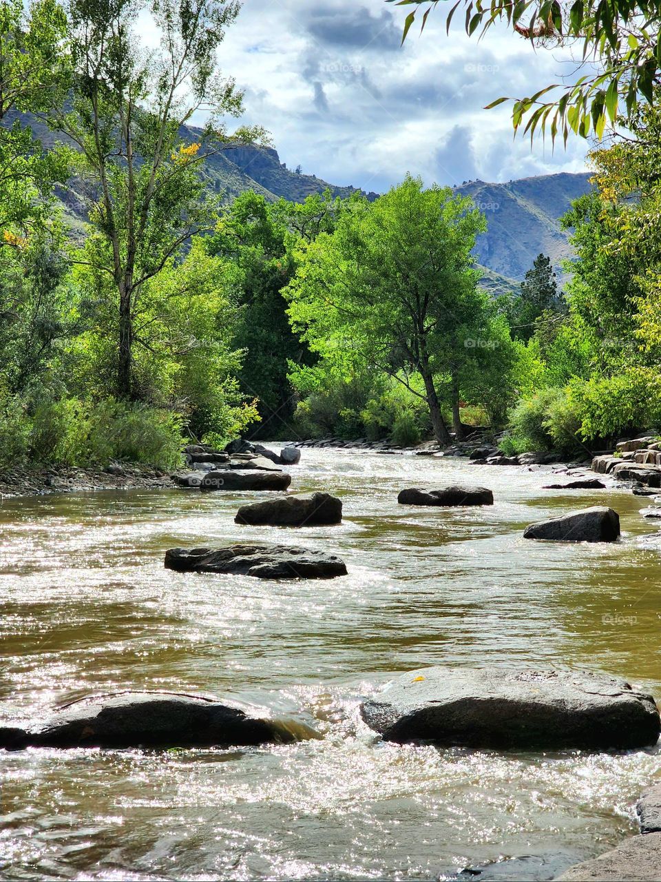 Clear Creek runs through beautiful Golden Colorado on a late summer day surrounded by beautiful greenery