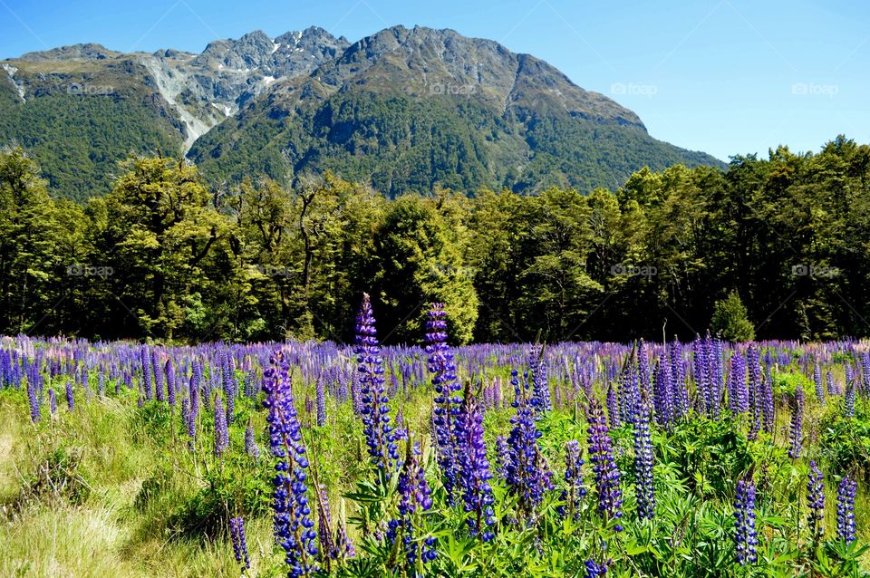 Nature, No Person, Landscape, Outdoors, Summer