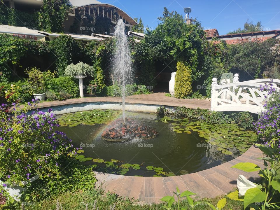 Pond and fountain summertime fun