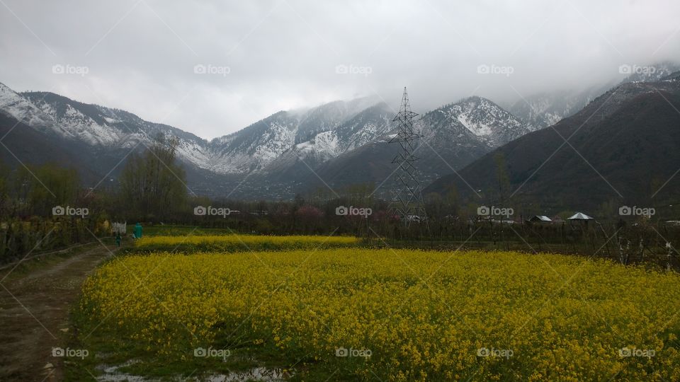 Landscape, Mountain, No Person, Travel, Nature