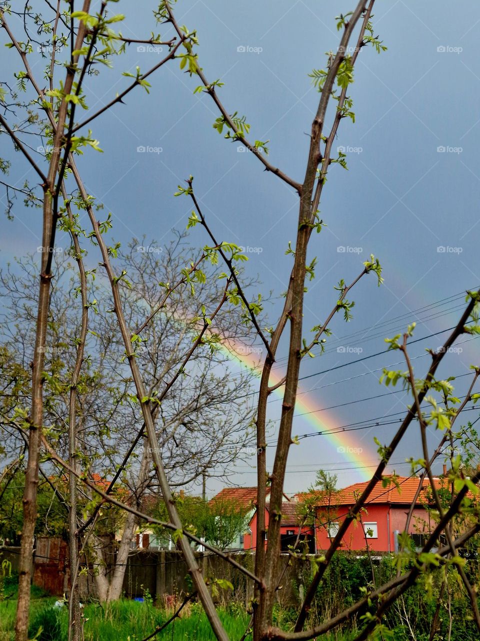 spring rainbow