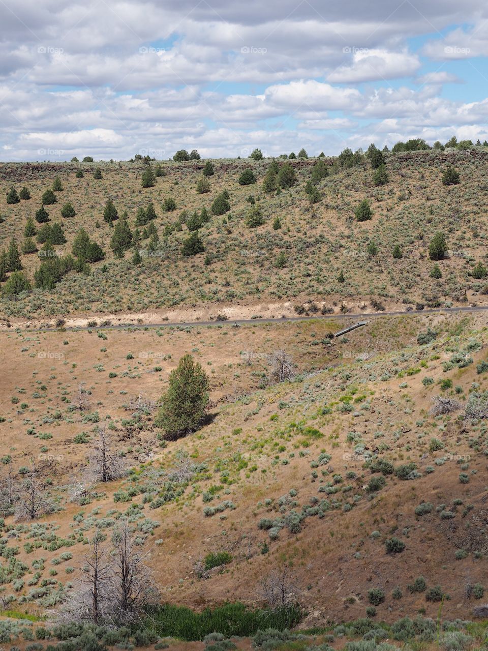 A view down hills into the farming valley and the small rural community of Gateway in Central Oregon on a sunny summer  day. 