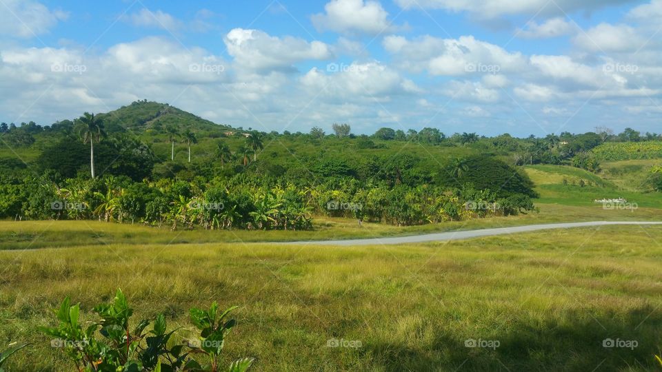 Cuba country side
