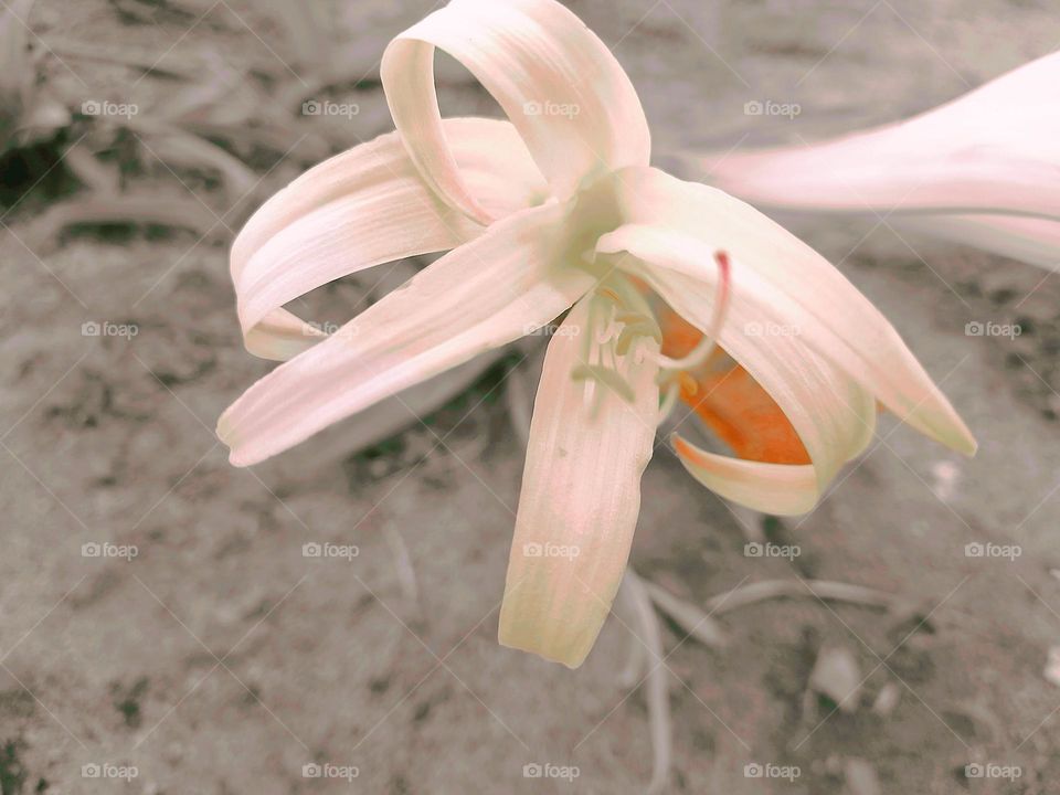 Take time to observe your surroundings!!!