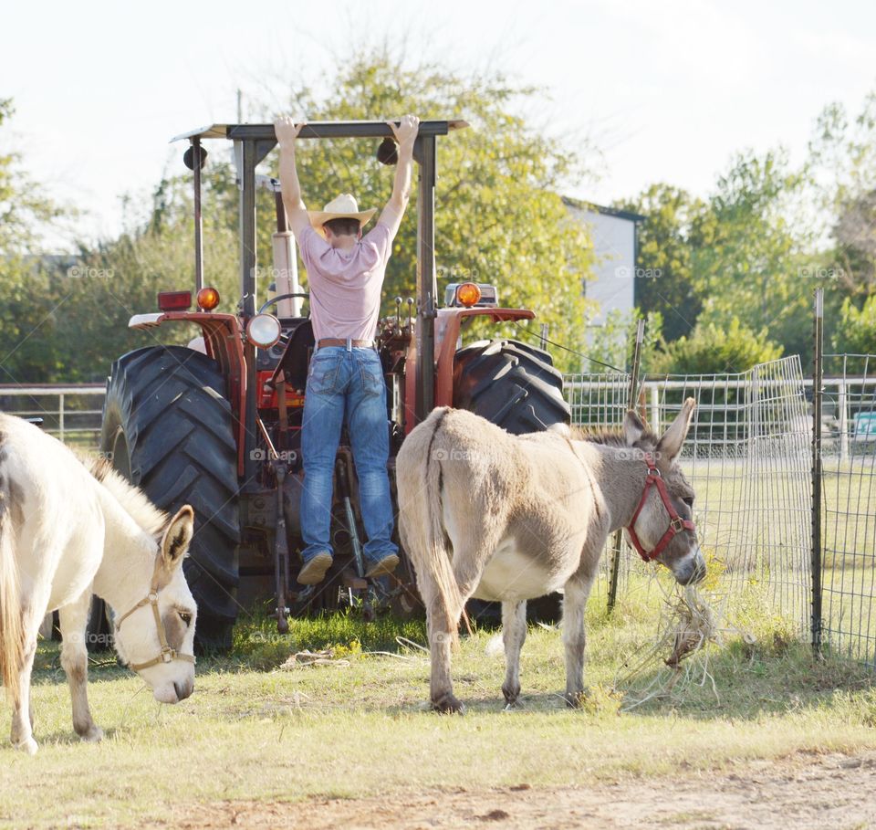 Doing pull ups on the tractor canopy. 