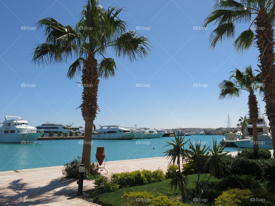 Egypt. Hurghada. New Marina