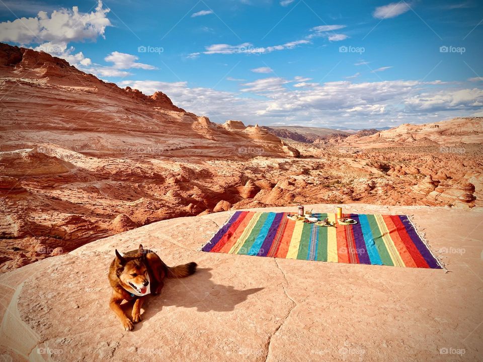 A picnic at the Wave in Arizona is an idyllic and unique experience, which requires a permit to enjoy 