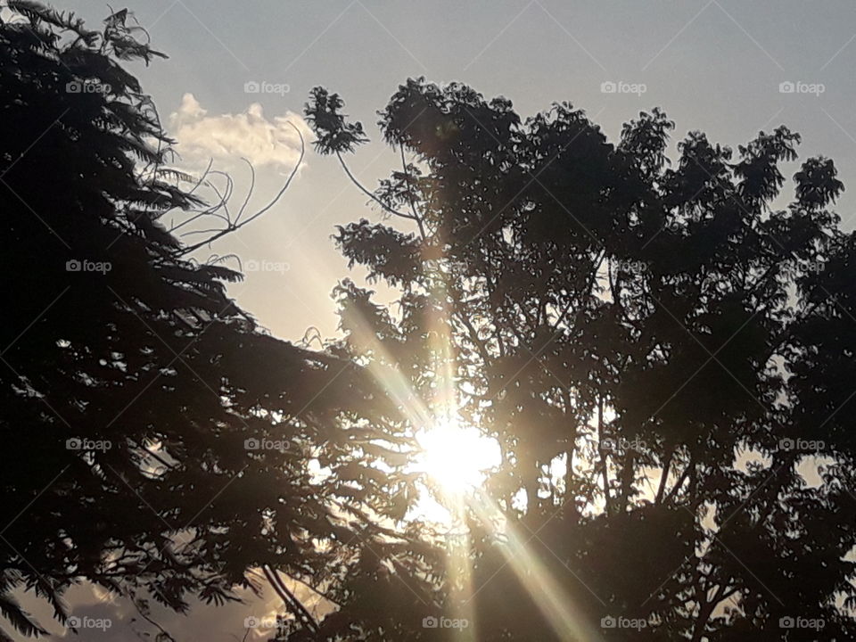 Resplandecendo do sol x