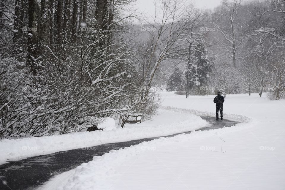 Snowy Day Walk