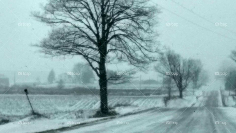 Once Upon A Winter's Day