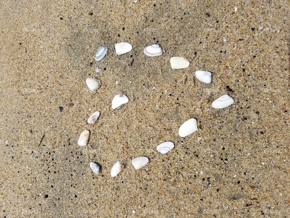 Seashells heart