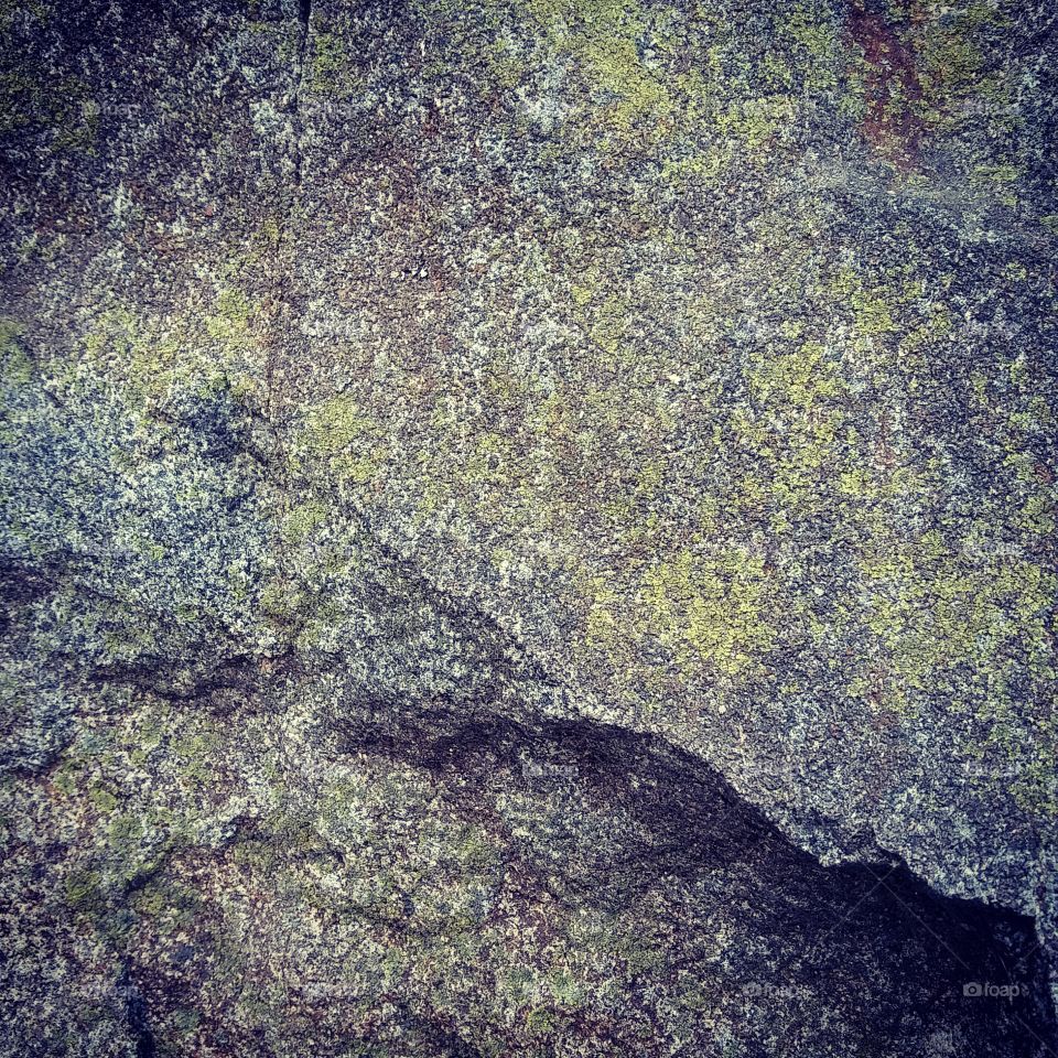 Rock, Moss, and Lichen Textures 02