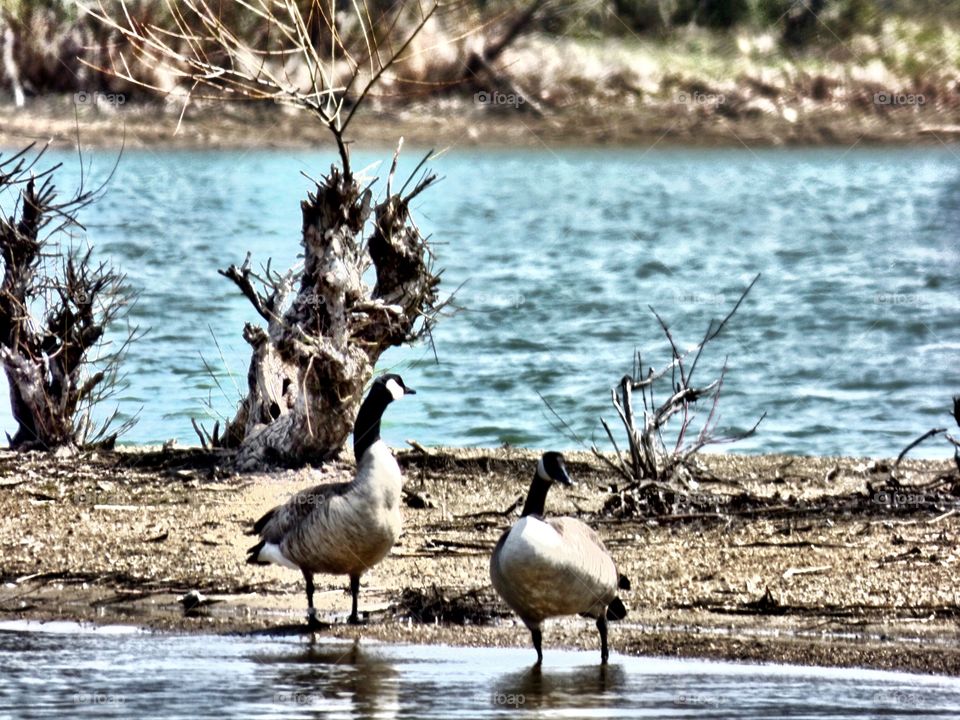 Hang go out by the lake in Indiana 