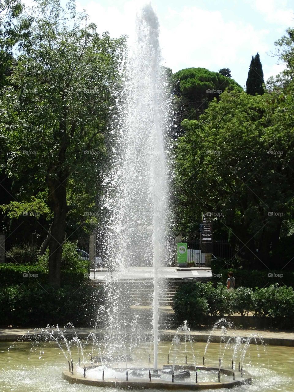 The fountain