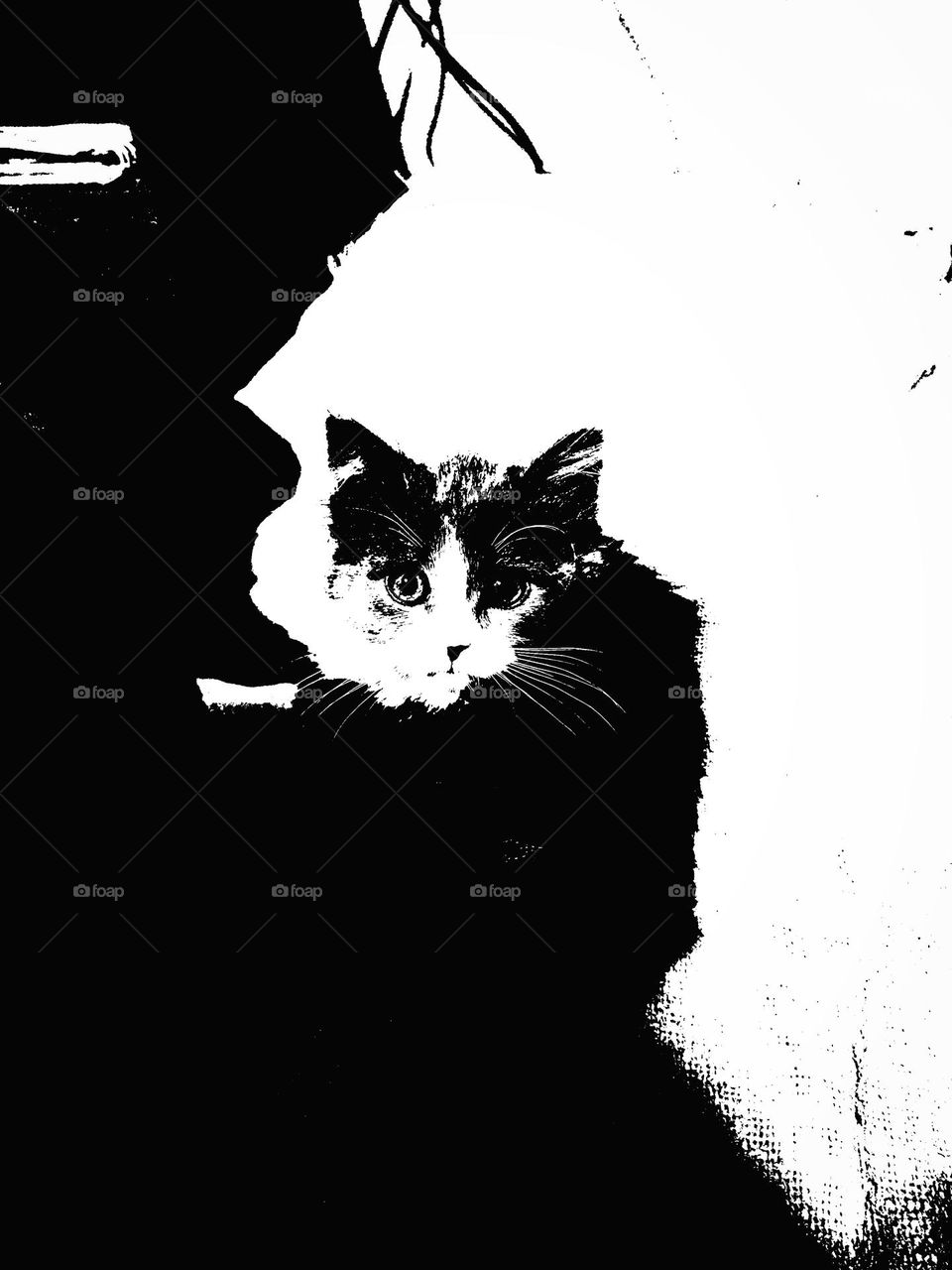 - Look more cheerful, my friend! You'll still find your happiness.