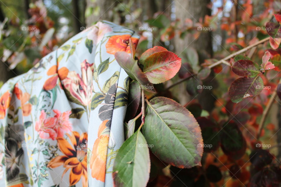 Forest poland light nature warmia mazury macro macrophotography leaves leaf dress slowfashion