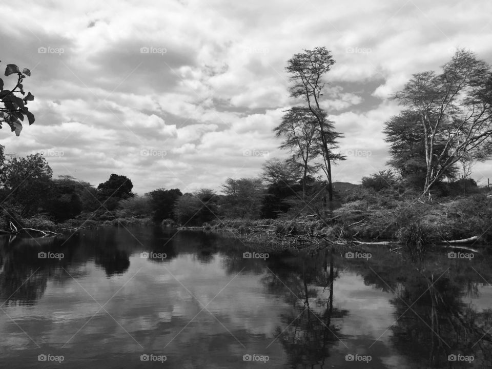 mzima springs//
Tsavo west//
Kenya//