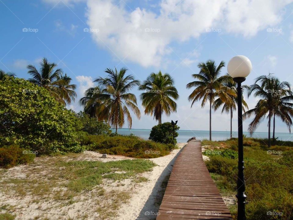 boardwalk to the beach in Cayo Coco Cuba, a beautiful breezy day