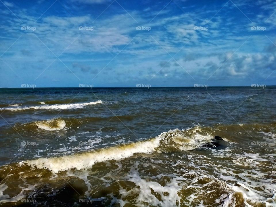 photography pictures of trees, mountains, cloves, rocks, sky, sea, sea