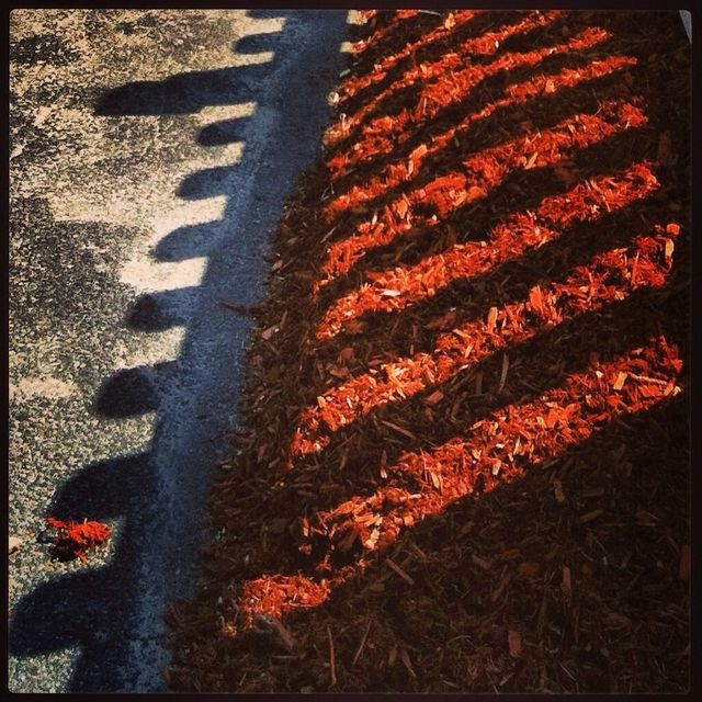 Mulch fence