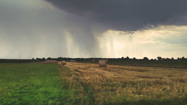 rain