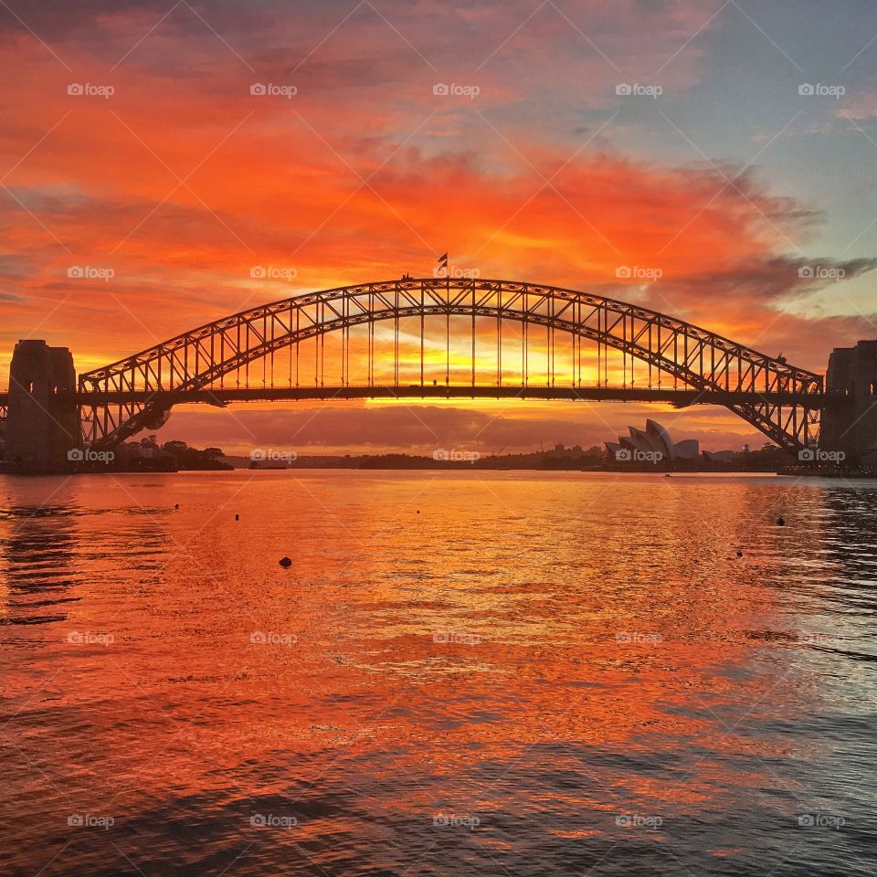 Sydney harbor bridge at sunset 