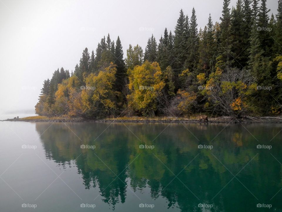 Reflection of autumn trees in lake