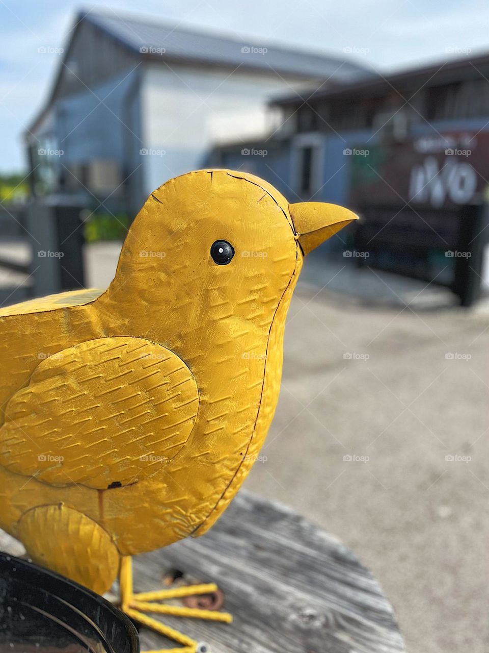 Baby chick sculpture, Metal chicken sculpture at a farm stand, yellow color stands out from the background 