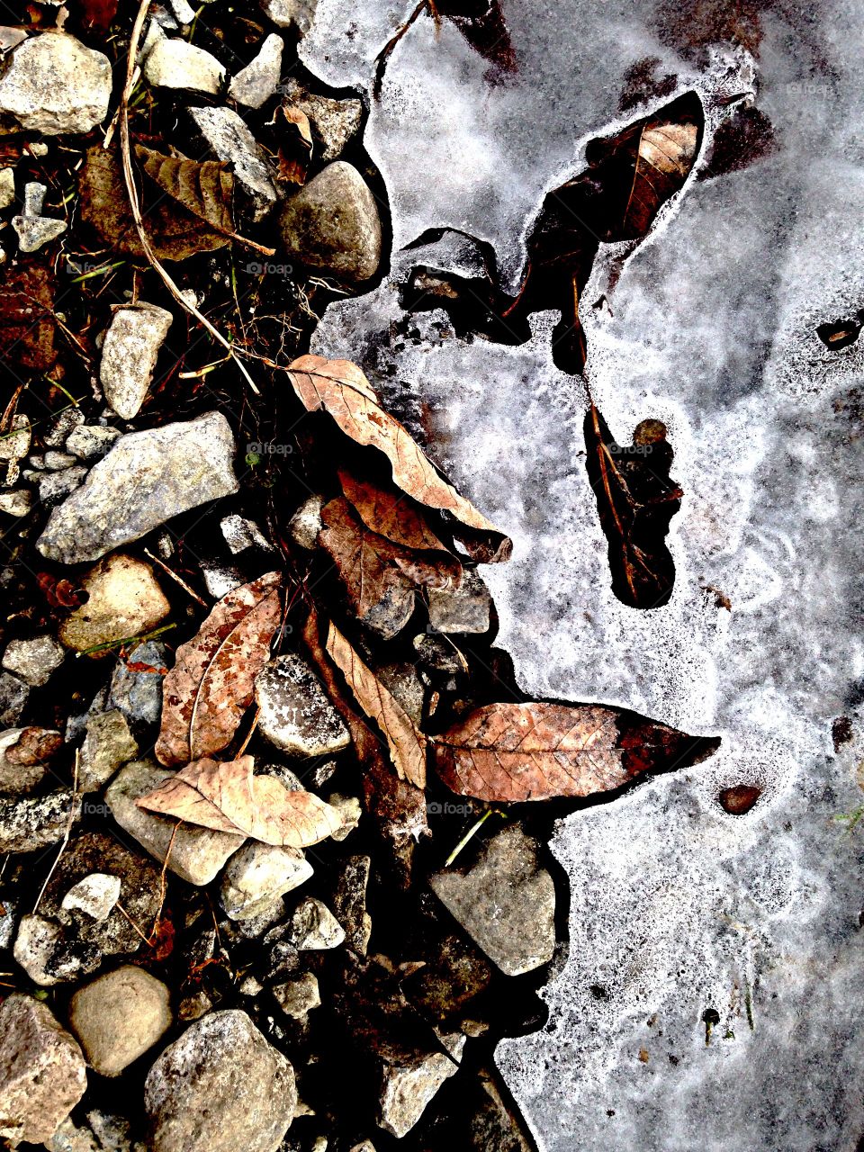 Frozen Streambed 