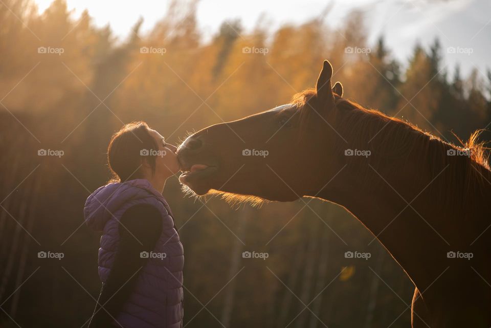 Woman and horse