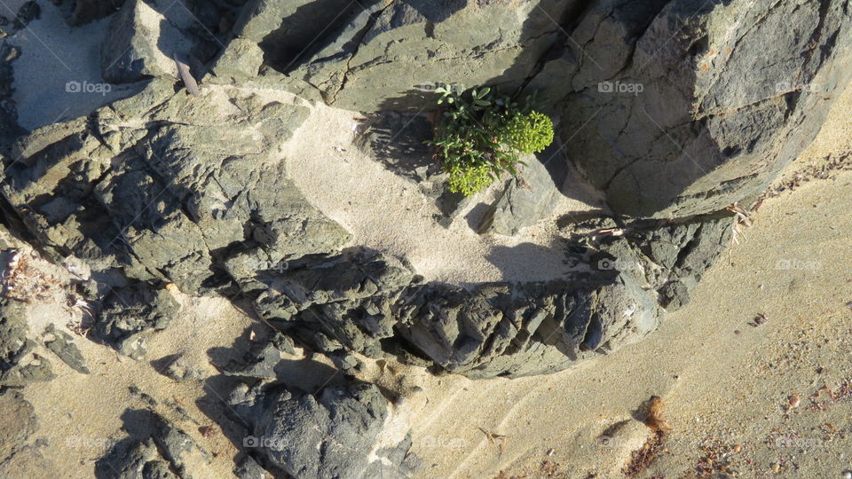 Beach Costa Rei Sardegna 