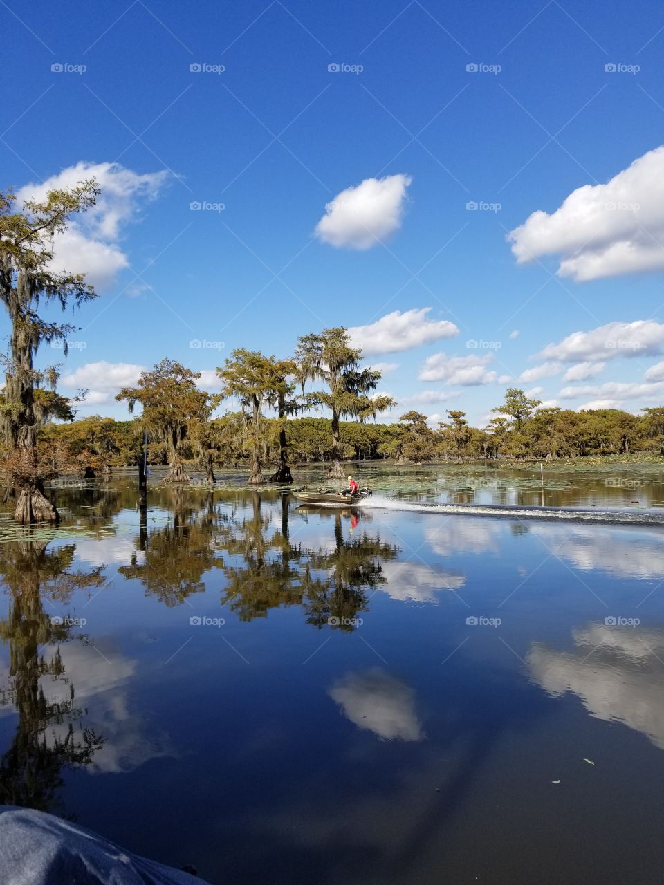 Reflection, Water, Tree, Landscape, Lake