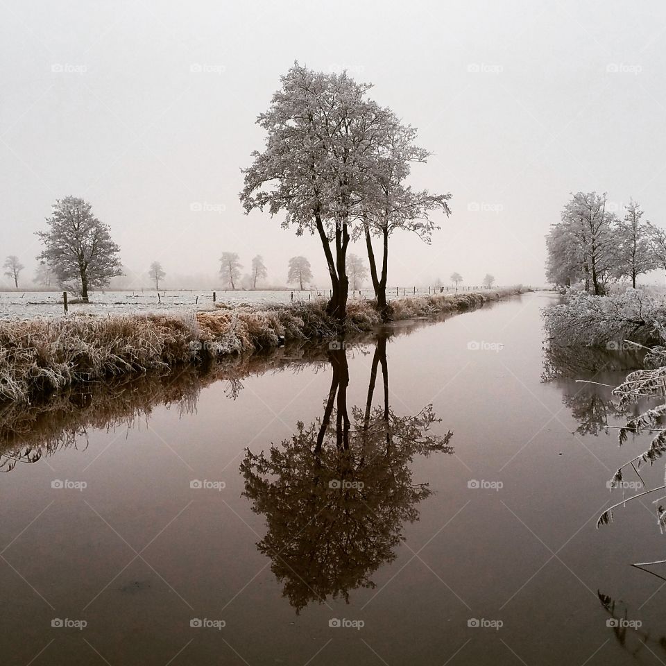 Winter in Holland