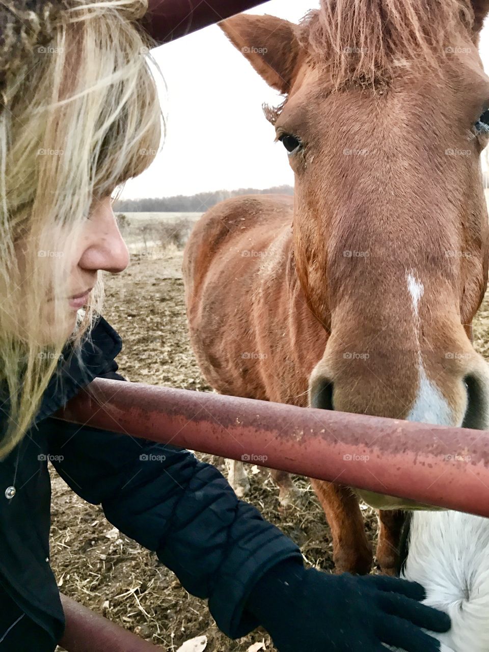 Winter stories, winter, stories, caring, gate, woman, cold, hair, blond, windy, windy, rust, frozen, brown, grass, eyes, ears, mammal, human, beautiful, profile, side view, day, daylight, overcast, gray, coat, hood, horse, fur, gloves