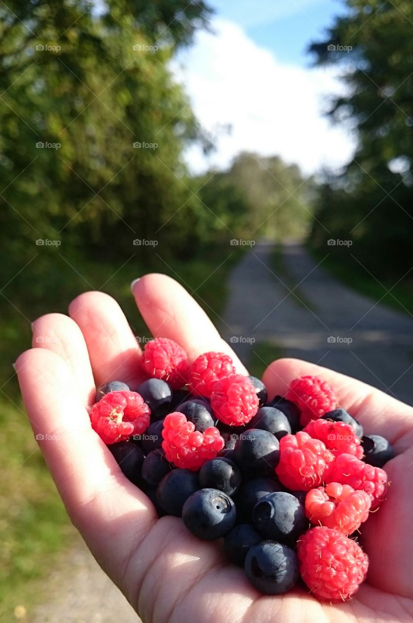 Close-up of a hand holding berries