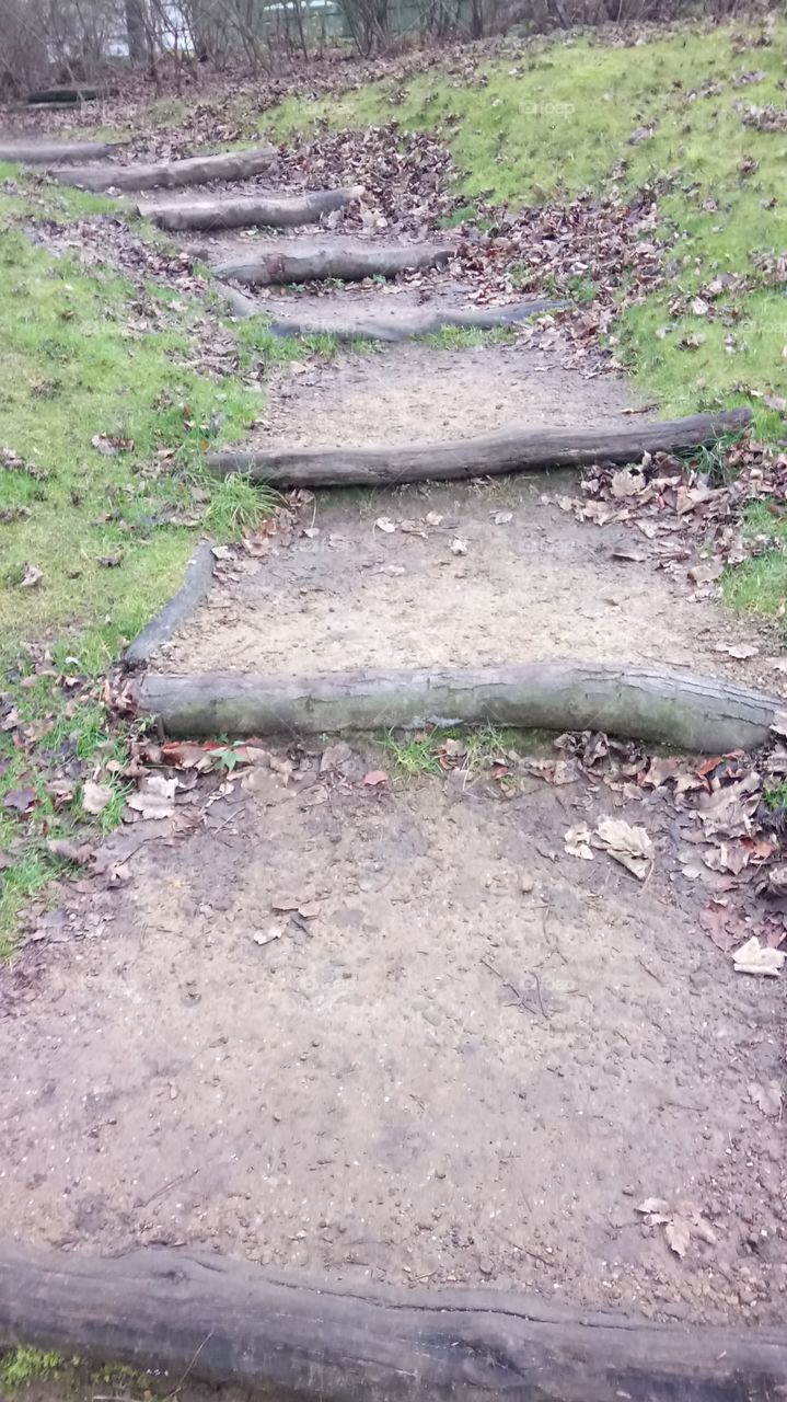 Stairway to the forest