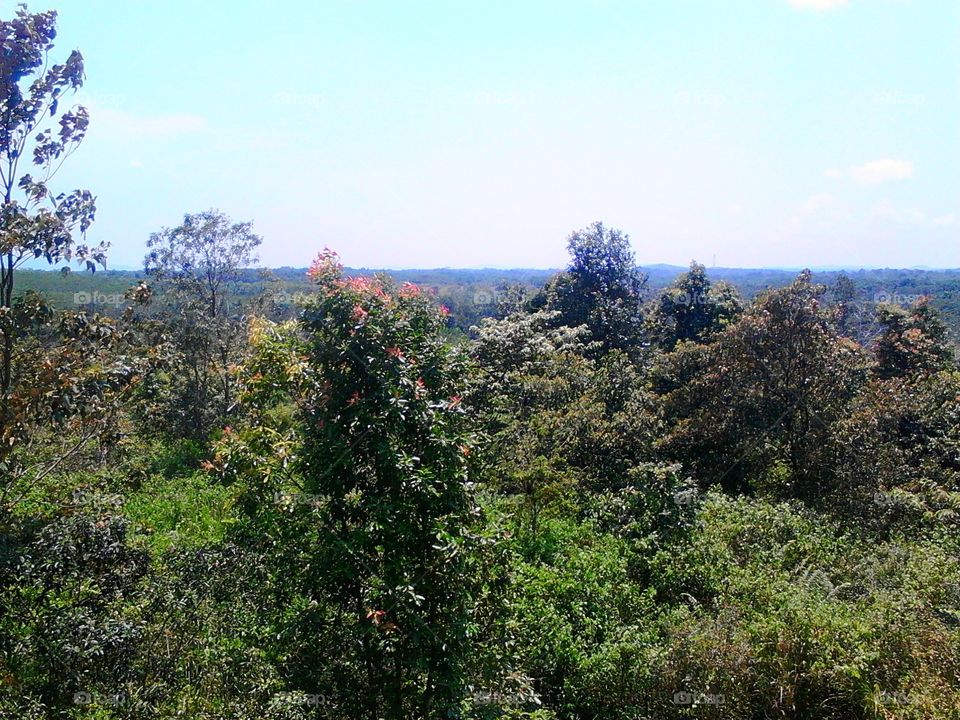 View from the Pangkuan hill