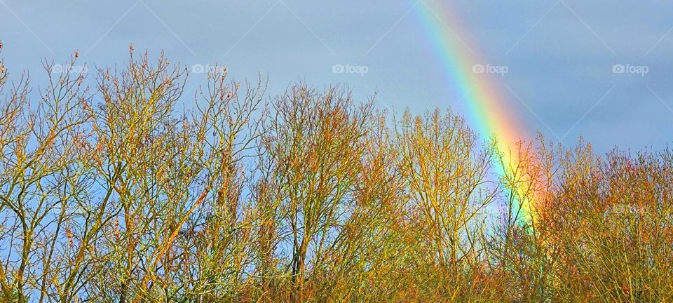 This is a beautiful rainbow that appeared over the city of “Straubing” in “Lower Bavaria” or “Niederbayern” one afternoon after it rained. 2024. Hypnotic Productions