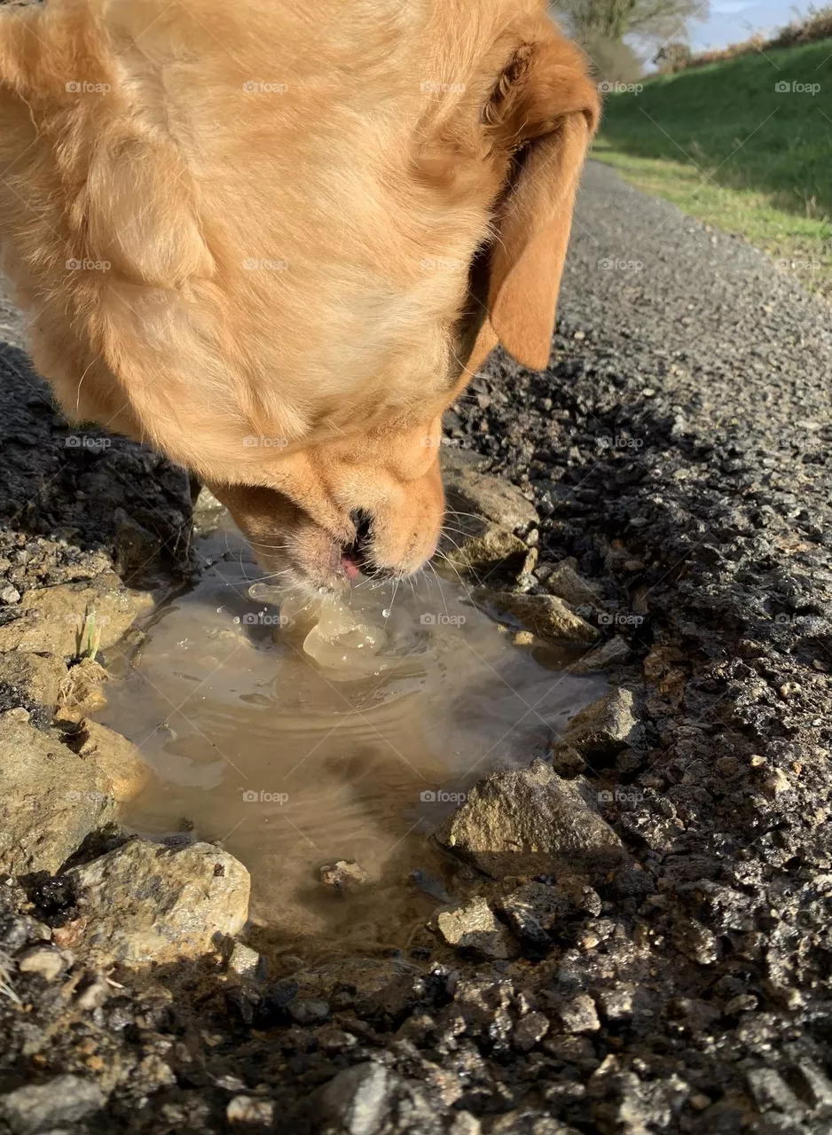 Let’s drink