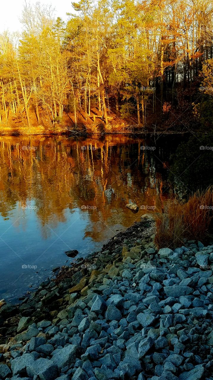 morning light