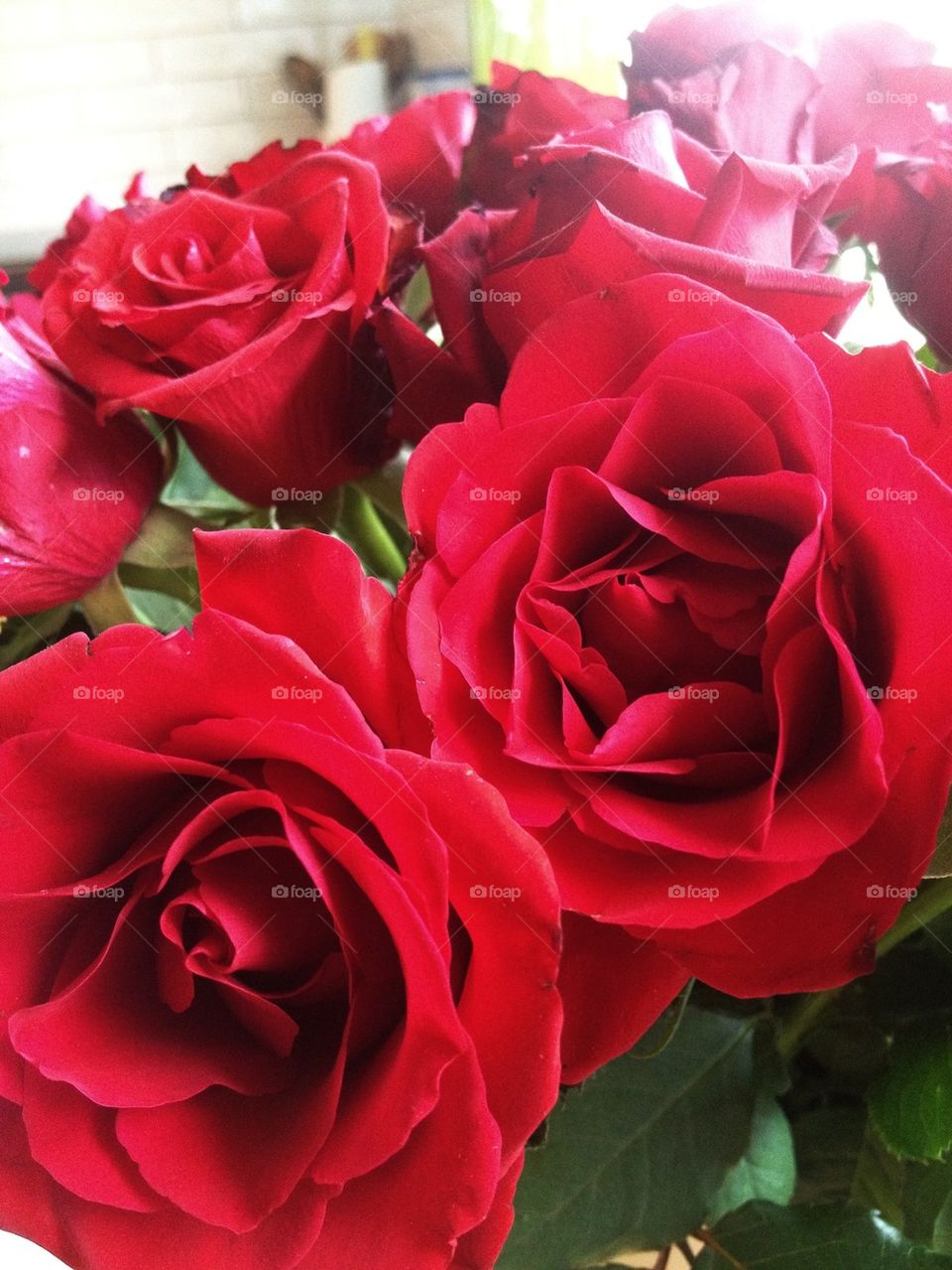 Red roses