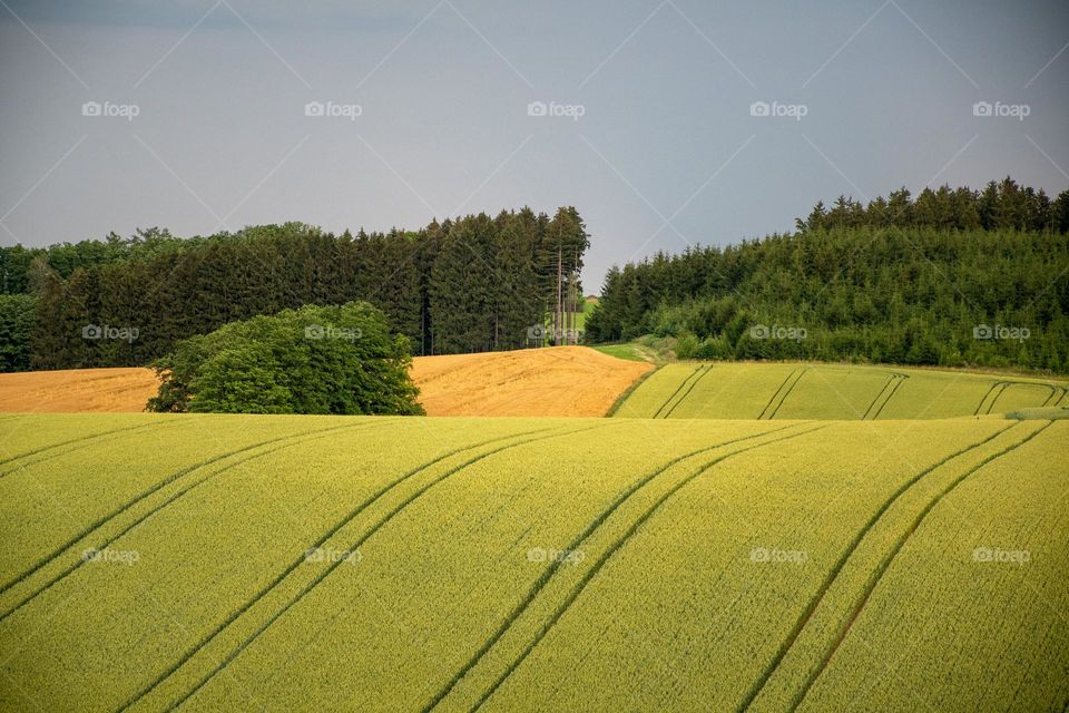 View of Green Countryside Fields