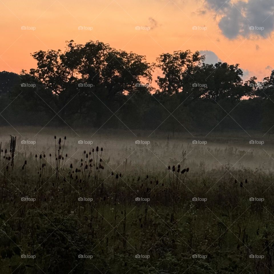 Fog in Gettysburg Park